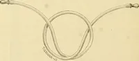 An illustration from A manual of otology / By Gorham Bacon ... With an introductory chapter by Clarence John Blake ... With 110 illustrations and a colored plate. (1898)