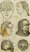 An illustration from Fowler's practical phrenology : giving a concise elementary view on phrenology; presenting some new and important remarks on the temperaments / as given by O.S. Fowler. (1850)