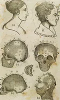 An illustration from Fowler's practical phrenology : giving a concise elementary view on phrenology; presenting some new and important remarks on the temperaments / as given by O.S. Fowler. (1850)