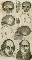 Picture 8 of 9 from Fowler's practical phrenology : giving a concise elementary view on phrenology; presenting some new and important remarks on the temperaments / as given by O.S. Fowler. (1850), leaf 65