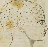 An illustration from Fowler's practical phrenology : giving a concise elementary view on phrenology; presenting some new and important remarks on the temperaments / as given by O.S. Fowler. (1850)