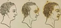 Picture 14 of 99 from Essays on physiognomy / tr. from the German of John Caspar Lavater, by Thomas Holcroft. Also one hundred physiognomical rules, taken from a posthumous work by J.C. Lavater; and a memoir of the author. (1853), leaf 209