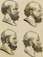 Picture 24 of 99 from Essays on physiognomy / tr. from the German of John Caspar Lavater, by Thomas Holcroft. Also one hundred physiognomical rules, taken from a posthumous work by J.C. Lavater; and a memoir of the author. (1853), leaf 288