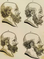 Picture 25 of 99 from Essays on physiognomy / tr. from the German of John Caspar Lavater, by Thomas Holcroft. Also one hundred physiognomical rules, taken from a posthumous work by J.C. Lavater; and a memoir of the author. (1853), leaf 290