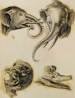Picture 45 of 99 from Essays on physiognomy / tr. from the German of John Caspar Lavater, by Thomas Holcroft. Also one hundred physiognomical rules, taken from a posthumous work by J.C. Lavater; and a memoir of the author. (1853), leaf 412