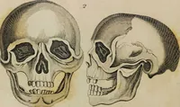 Picture 61 of 99 from Essays on physiognomy / tr. from the German of John Caspar Lavater, by Thomas Holcroft. Also one hundred physiognomical rules, taken from a posthumous work by J.C. Lavater; and a memoir of the author. (1853), leaf 452