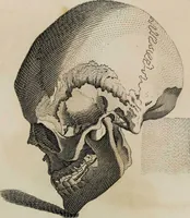 Picture 67 of 99 from Essays on physiognomy / tr. from the German of John Caspar Lavater, by Thomas Holcroft. Also one hundred physiognomical rules, taken from a posthumous work by J.C. Lavater; and a memoir of the author. (1853), leaf 463