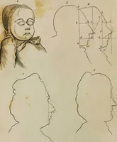 Picture 87 of 99 from Essays on physiognomy / tr. from the German of John Caspar Lavater, by Thomas Holcroft. Also one hundred physiognomical rules, taken from a posthumous work by J.C. Lavater; and a memoir of the author. (1853), leaf 681