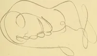 An illustration from Mary Jane, or, spiritualism chemically explained, with spirit drawings / also essays by, and ideas (perhaps erroneous) of "a child at school." (1863)