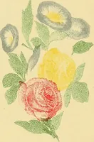 An illustration from Mary Jane, or, spiritualism chemically explained, with spirit drawings / also essays by, and ideas (perhaps erroneous) of "a child at school." (1863)