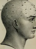 An illustration from Lettres Camille sur la physiologie de l'homme : exposition prise des phomes de la vie / par Isidore Bourdon. (1834)
