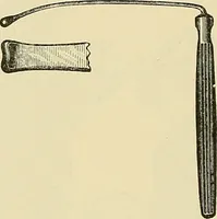 An illustration from Diseases of the nose and throat / by J. Price-Brown ; ill. with 159 engravings, including 6 full-page color-plates and 9 color-cuts in the text, many of them original. (1900)