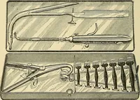 An illustration from Diseases of the nose and throat / by J. Price-Brown ; ill. with 159 engravings, including 6 full-page color-plates and 9 color-cuts in the text, many of them original. (1900)