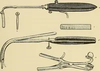 An illustration from Diseases of the nose and throat / by J. Price-Brown ; ill. with 159 engravings, including 6 full-page color-plates and 9 color-cuts in the text, many of them original. (1900)