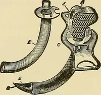 An illustration from Diseases of the nose and throat / by J. Price-Brown ; ill. with 159 engravings, including 6 full-page color-plates and 9 color-cuts in the text, many of them original. (1900)