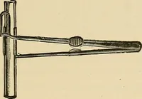 An illustration from Diseases of the nose and throat / by J. Price-Brown ; ill. with 159 engravings, including 6 full-page color-plates and 9 color-cuts in the text, many of them original. (1900)