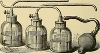 An illustration from Diseases of the nose and throat / by J. Price-Brown ; ill. with 159 engravings, including 6 full-page color-plates and 9 color-cuts in the text, many of them original. (1900)