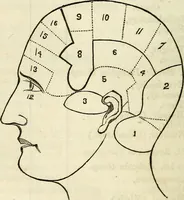 Picture 1 of 8 from An epitome of phrenology and temperamental physiology ; (containing several new features,) delineating the character, talents, disposition and natural ability of as given by on the day of A.D. 18 designed to aid persons in selecting occupations, employees, partners in business, teachers, etc., and to choose such husbands and wives as will render life's journey prosperous and happy, and confer the highest endowment of their offspring / By Dr. J. Gillis Buckly, lecturer on physiology, and for fifteen years a practical phrenologist. (1857), leaf 36