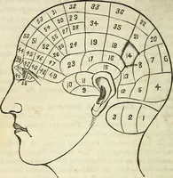 An illustration from An epitome of phrenology and temperamental physiology ; (containing several new features,) delineating the character, talents, disposition and natural ability of as given by on the day of A.D. 18 designed to aid persons in selecting occupations, employees, partners in business, teachers, etc., and to choose such husbands and wives as will render life's journey prosperous and happy, and confer the highest endowment of their offspring / By Dr. J. Gillis Buckly, lecturer on physiology, and for fifteen years a practical phrenologist. (1857)