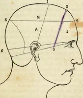 An illustration from An epitome of phrenology and temperamental physiology ; (containing several new features,) delineating the character, talents, disposition and natural ability of as given by on the day of A.D. 18 designed to aid persons in selecting occupations, employees, partners in business, teachers, etc., and to choose such husbands and wives as will render life's journey prosperous and happy, and confer the highest endowment of their offspring / By Dr. J. Gillis Buckly, lecturer on physiology, and for fifteen years a practical phrenologist. (1857)