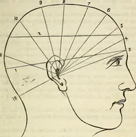 An illustration from An epitome of phrenology and temperamental physiology ; (containing several new features,) delineating the character, talents, disposition and natural ability of as given by on the day of A.D. 18 designed to aid persons in selecting occupations, employees, partners in business, teachers, etc., and to choose such husbands and wives as will render life's journey prosperous and happy, and confer the highest endowment of their offspring / By Dr. J. Gillis Buckly, lecturer on physiology, and for fifteen years a practical phrenologist. (1857)