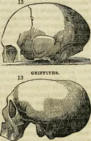 Picture 27 of 36 from Elements of phrenology / By George Combe. From the fifth Edinburgh improved and enlarged edition. With illustrations. (1846), leaf 120
