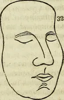 An illustration from Elements of phrenology / By George Combe. From the fifth Edinburgh improved and enlarged edition. With illustrations. (1846)