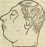 An illustration from Elements of phrenology / By George Combe. From the fifth Edinburgh improved and enlarged edition. With illustrations. (1846)