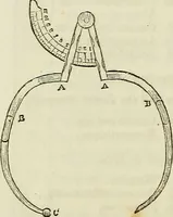 Picture 36 of 36 from Elements of phrenology / By George Combe. From the fifth Edinburgh improved and enlarged edition. With illustrations. (1846), leaf 256
