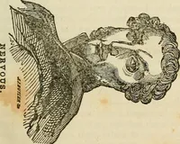 An illustration from Elements of phrenology / By George Combe. From the fifth Edinburgh improved and enlarged edition. With illustrations. (1846)