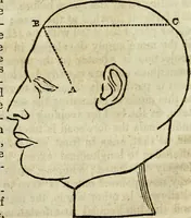 An illustration from Elements of phrenology / By George Combe. From the fifth Edinburgh improved and enlarged edition. With illustrations. (1846)