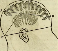An illustration from Elements of phrenology / By George Combe. From the fifth Edinburgh improved and enlarged edition. With illustrations. (1846)