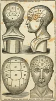 An illustration from Elements of phrenology / By George Combe. From the fifth Edinburgh improved and enlarged edition. With illustrations. (1846)