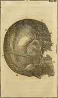 An illustration from Elements of phrenology / By George Combe. From the fifth Edinburgh improved and enlarged edition. With illustrations. (1846)