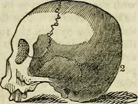 An illustration from Elements of phrenology / By George Combe. From the fifth Edinburgh improved and enlarged edition. With illustrations. (1846)