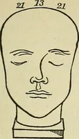 Picture 24 of 30 from Lectures on phrenology / By George Combe, Esq. With notes, an introductory essay, and a historical sketch by Andrew Boardman, M.D. (1895), leaf 231