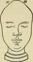 An illustration from Lectures on phrenology / By George Combe, Esq. With notes, an introductory essay, and a historical sketch by Andrew Boardman, M.D. (1895)