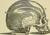 An illustration from Lectures on phrenology / By George Combe, Esq. With notes, an introductory essay, and a historical sketch by Andrew Boardman, M.D. (1895)
