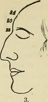 An illustration from Lectures on phrenology / By George Combe, Esq. With notes, an introductory essay, and a historical sketch by Andrew Boardman, M.D. (1895)