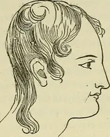 An illustration from Lectures on phrenology / By George Combe, Esq. With notes, an introductory essay, and a historical sketch by Andrew Boardman, M.D. (1895)
