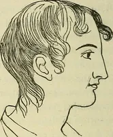 An illustration from Lectures on phrenology / By George Combe, Esq. With notes, an introductory essay, and a historical sketch by Andrew Boardman, M.D. (1895)