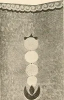 An illustration from Des Indes la plane Mars : ude sur un cas de somnambulisme avec glossolalie / par Th. Flournoy. (1900)