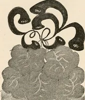 An illustration from Des Indes la plane Mars : ude sur un cas de somnambulisme avec glossolalie / par Th. Flournoy. (1900)