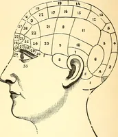 Picture 2 of 3 from Phrenological dictionary / By L.N. & J.A. Fowler. (1894), leaf 42