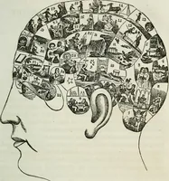 An illustration from Physiology, animal and mental: applied to the preservation and restoration of health of body and power of mind / by O.S. Fowler. (1847)