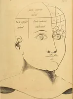 An illustration from Arte de conocer á los hombres por medio de su esterior, segun resulta de los estudios frenologicos y fisionomicos : Obra util á todos en general, y en particular á los maestros de primera educacion, á los padres de familia, confesores, jueces, directores de establecimientos piadosos, &c. &c. Adornada con laminas litografiadas / Por Antero Gomez. (1849)