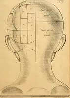 An illustration from Arte de conocer á los hombres por medio de su esterior, segun resulta de los estudios frenologicos y fisionomicos : Obra util á todos en general, y en particular á los maestros de primera educacion, á los padres de familia, confesores, jueces, directores de establecimientos piadosos, &c. &c. Adornada con laminas litografiadas / Por Antero Gomez. (1849)