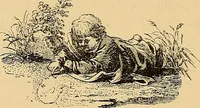 Picture 30 of 32 from Goethes Anteil an Lavaters Physiognomischen Fragmenten / von Eduard von der Hellen. (1888), leaf 234