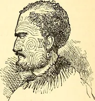 An illustration from Notes on noses / by Eden Warwick. (1864)