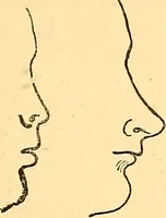 An illustration from Notes on noses / by Eden Warwick. (1864)
